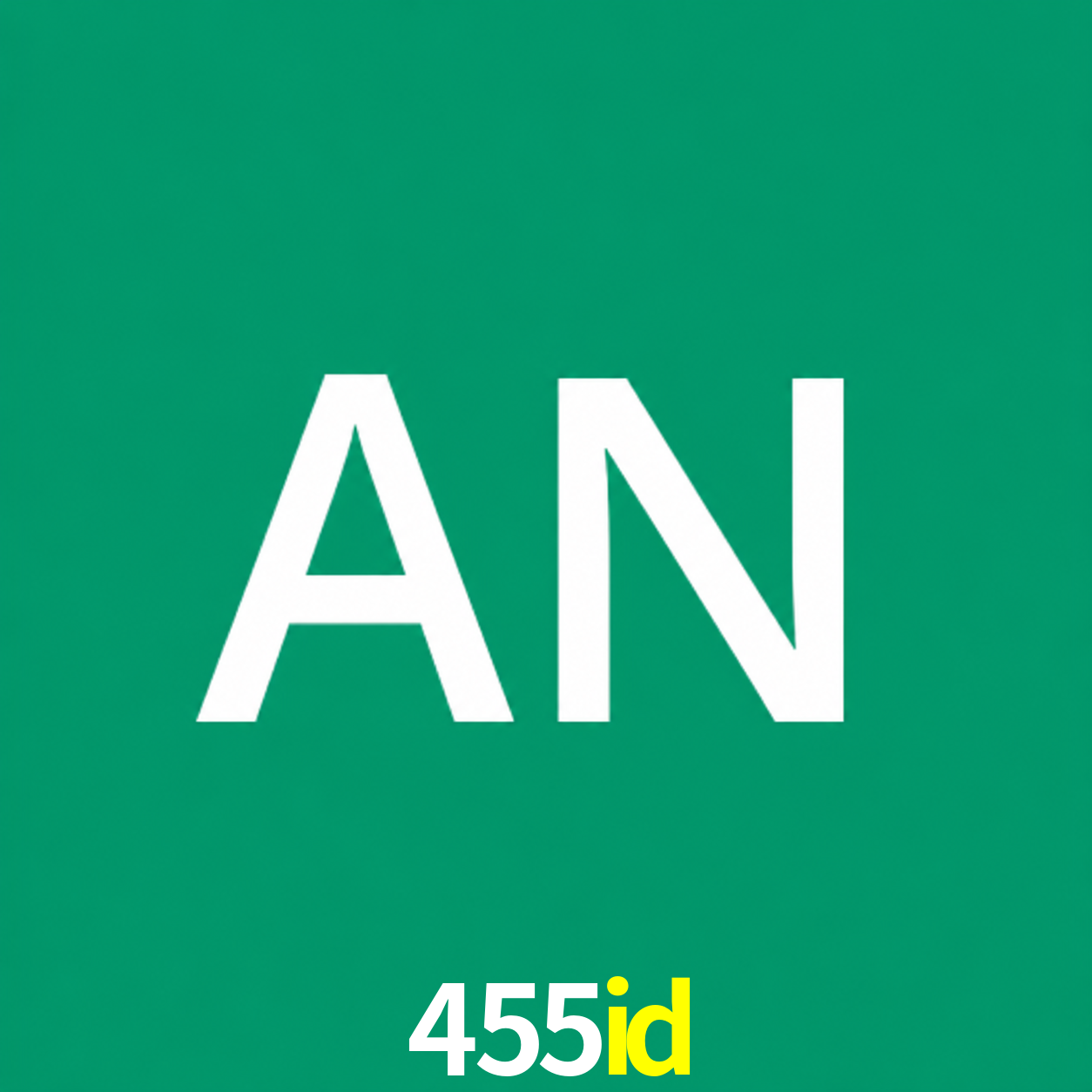 Adi Nugroho - Founder & CEO 455id Indonesia